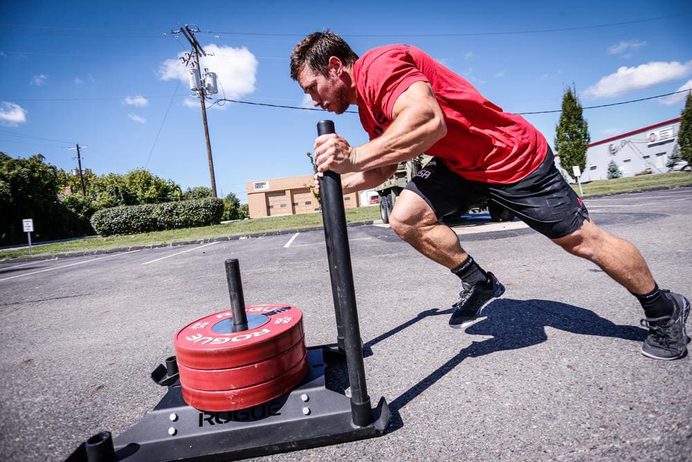 Rogue fitness sled 2025